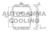 AUTOGAMMA 100244 Radiator, engine cooling